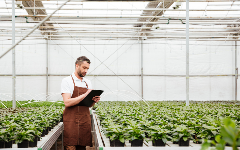 agriculture farm management